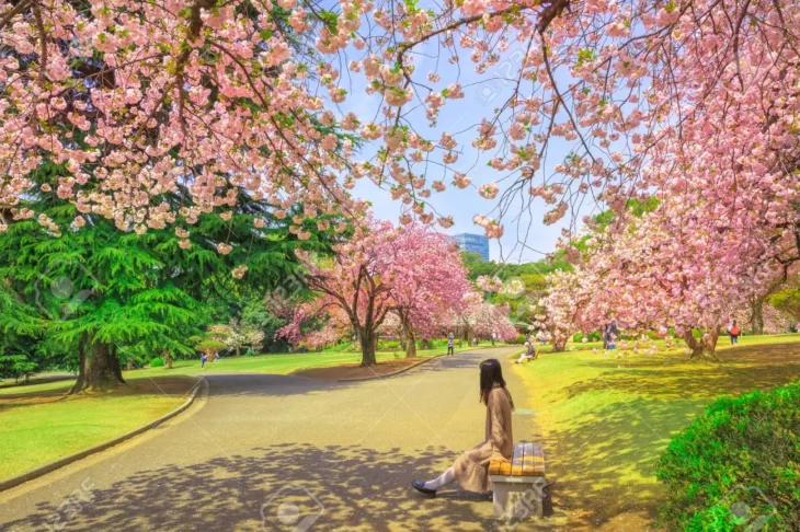 Jardín de Shijuku Gyoen 新宿御苑 しんじゅくぎょえん