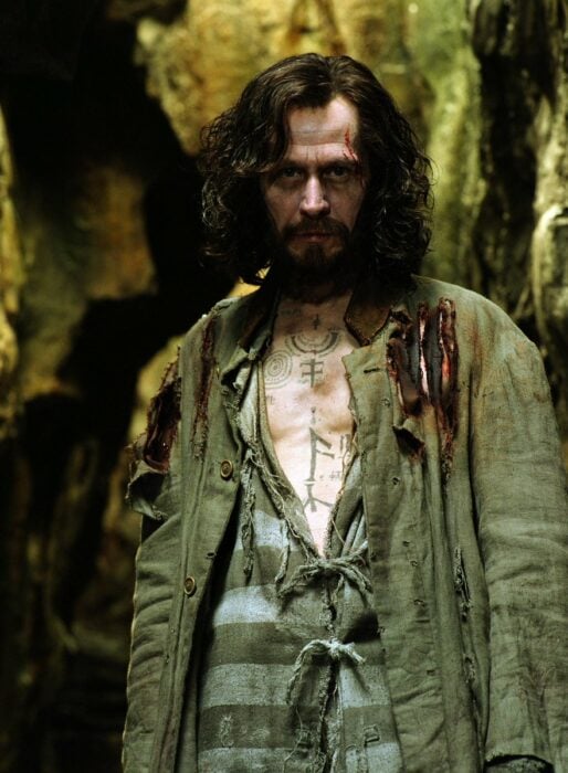 Gary Oldman Sirius Black