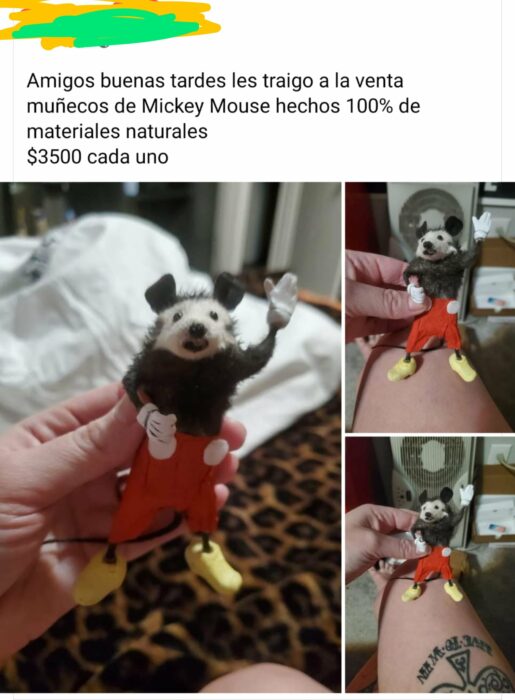 Mickey Mouse