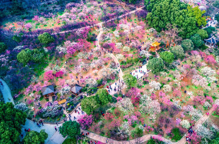 Parque hangang