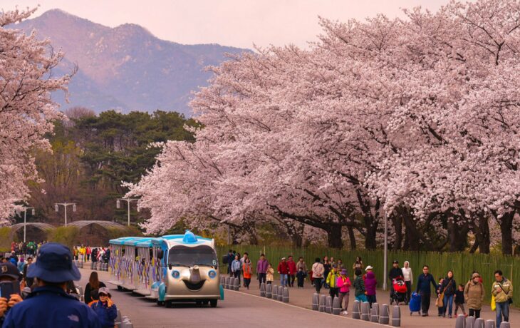 Parque Hangang