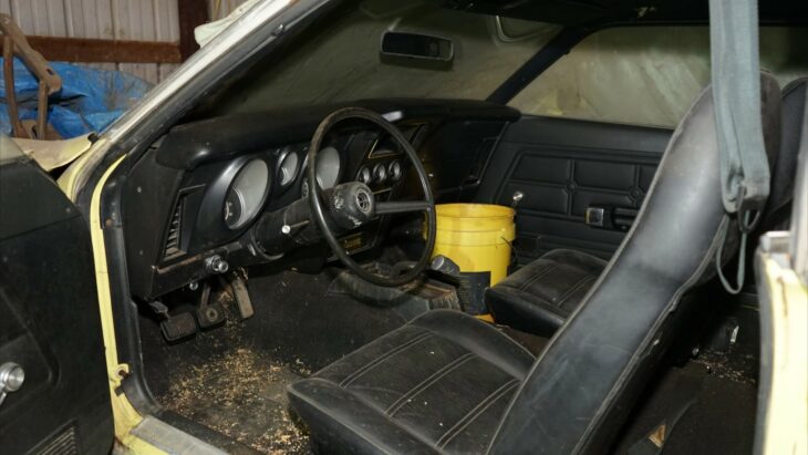 Mustang interior