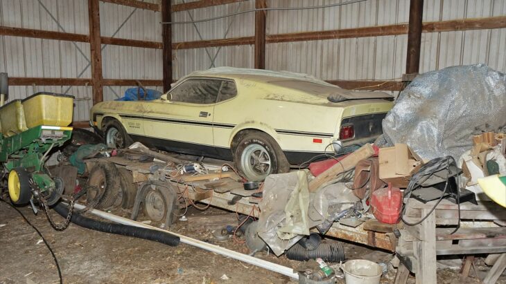 Mustang en el granero