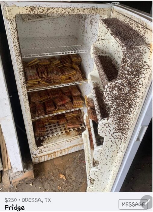 Refrigerador que todavía sirve horroroso y lleno de salchicas y mugre
