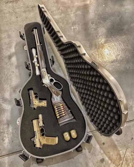 estuche de guitarra Llena de armas 