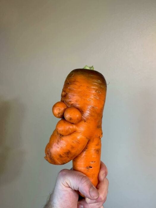 Rostro zanahoria