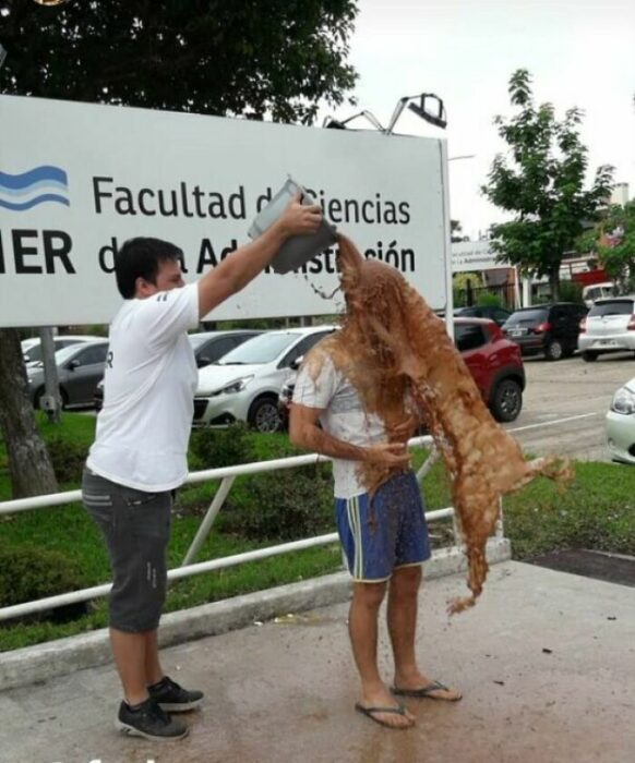 Perro de agua puerca