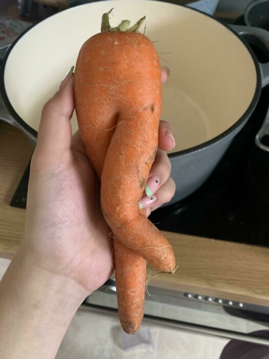 Zanahoria coqueta