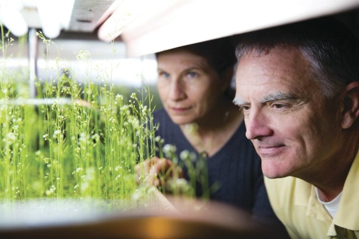 Mirando plantas