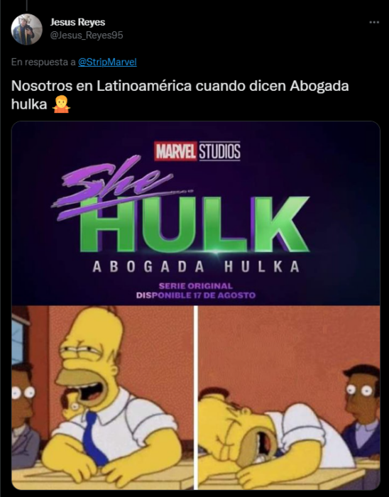 Abogada Hulka Homero