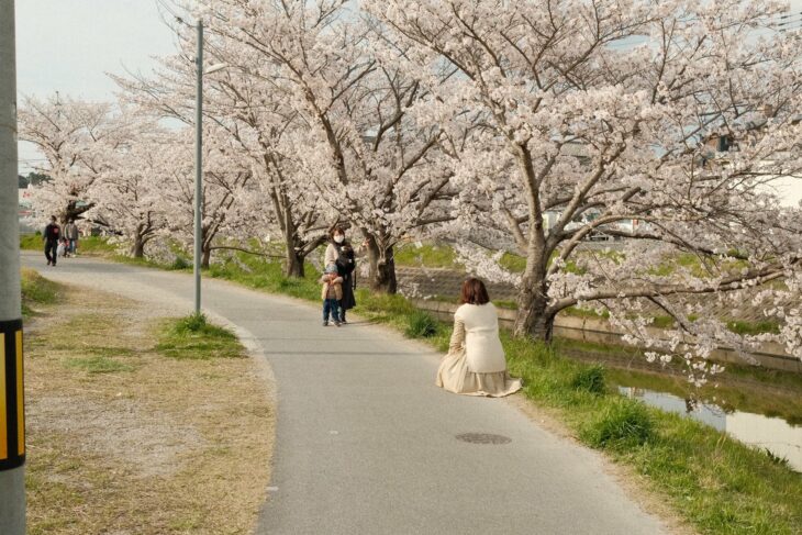 Levitando durante el hanami