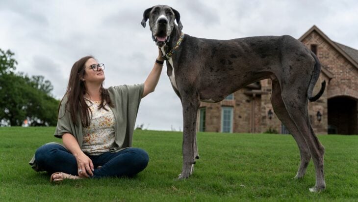 Brittany y Zeus