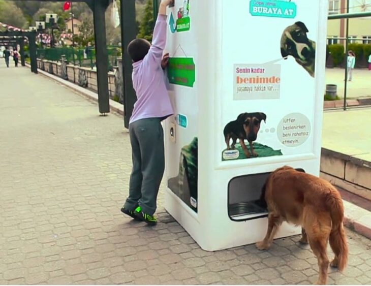 Recicladora paga con comida para perro y gatos