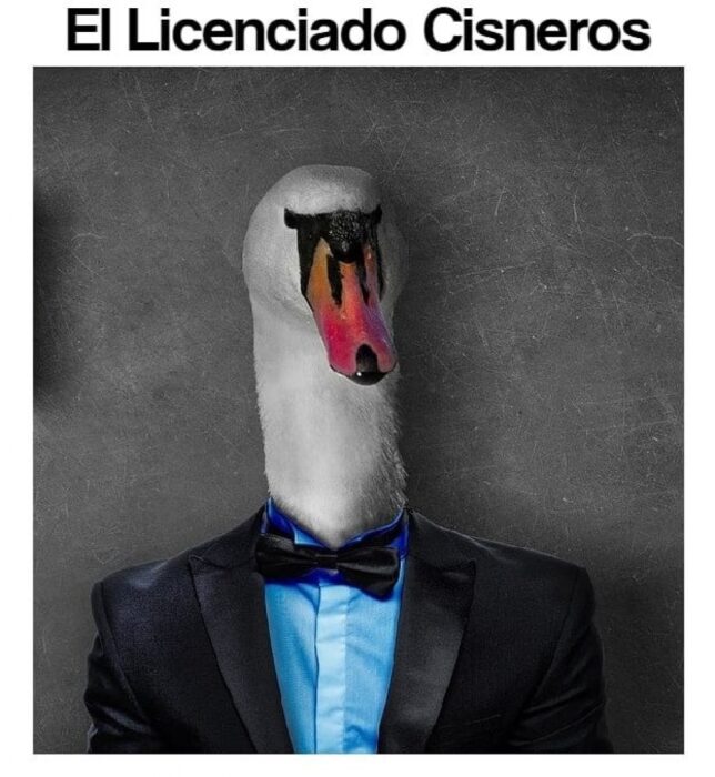 Licenciado Cisneros