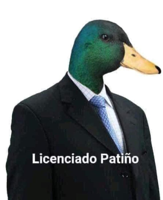 Patiño