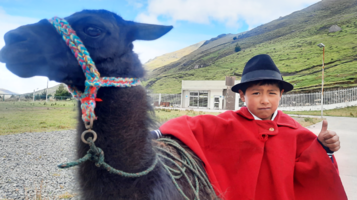 Niño con llama