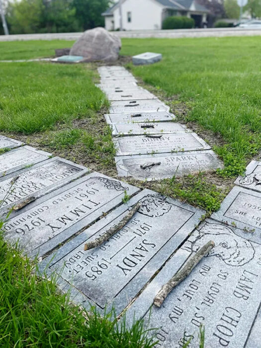 Cementerio de Animales