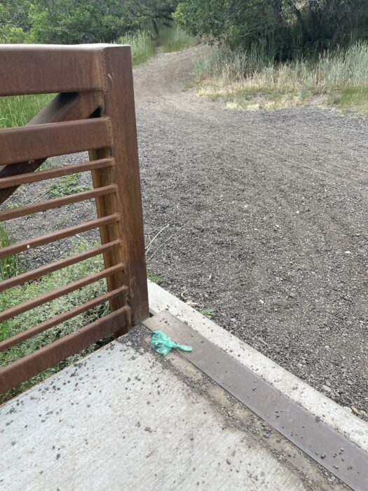 escrementos de perro en el camino