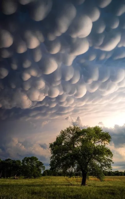 Nubes de algodón