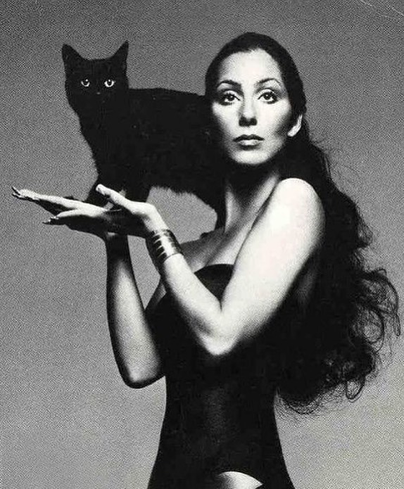 Cher Dark Lady