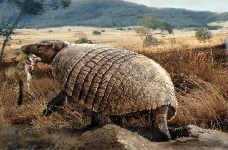 Armadillo carnívoro