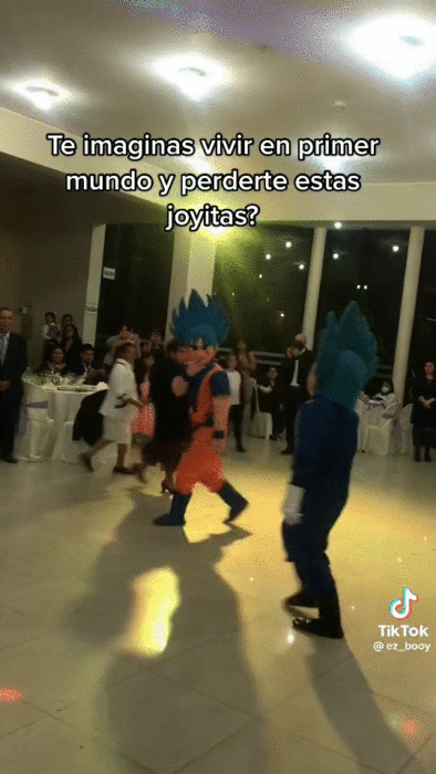 Pela Goku y Vegueta