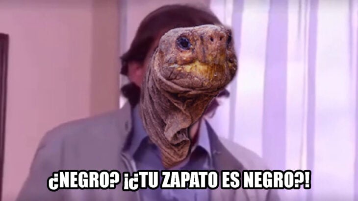 Tortuga racista