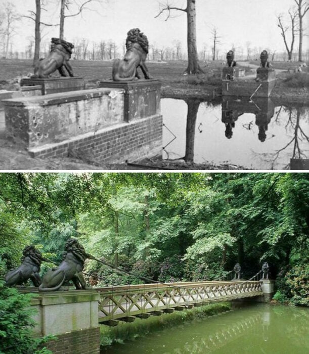 1945 y hoy Tiergarten
