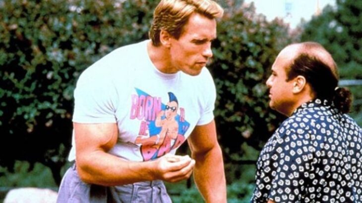 Schwarzenegger y DeVito