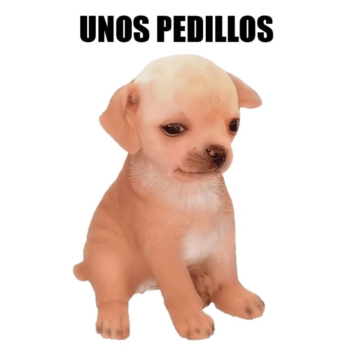 Unos pedillos