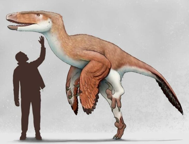 Dakotaraptor