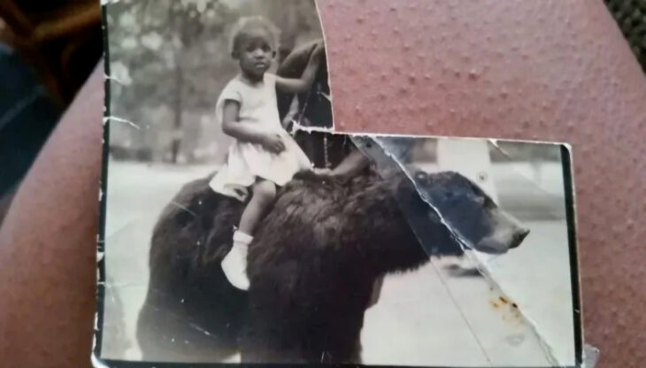 Niña montando un oso