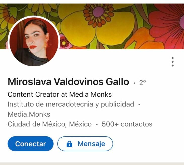 Miroslava CV