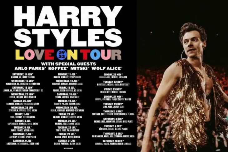 Love On Tour de Harry Styles