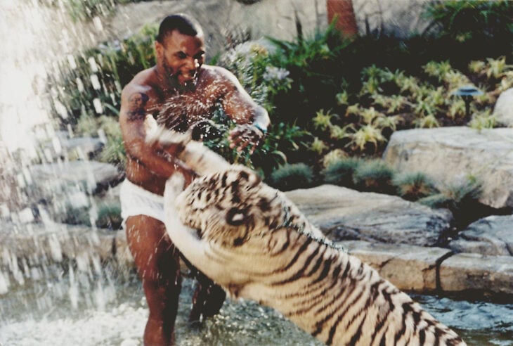 Mike Tyson y sus tigres