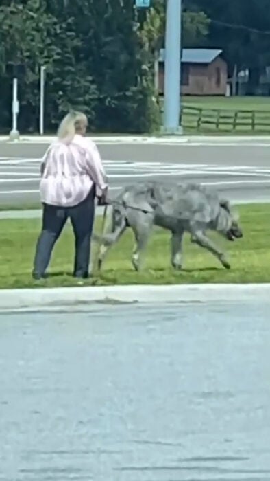 Mujer con perro extraño