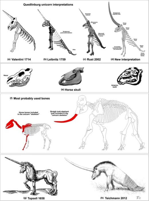 Partes del cuerpo