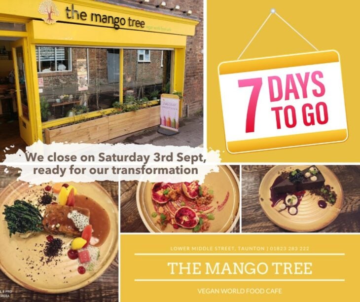 The Mango Tree anuncio