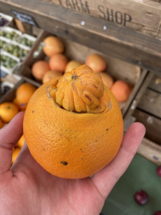 Naranja con tumor en forma de naranja