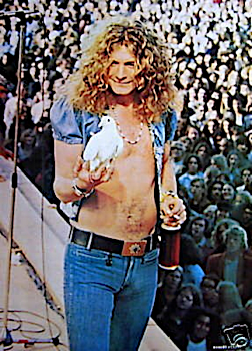 Robert Plant y su paloma