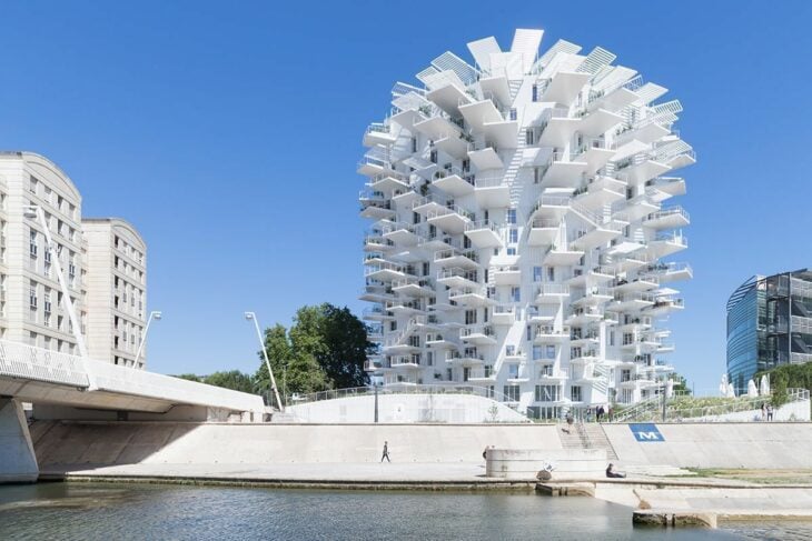 Árbol blanco de Montpellier