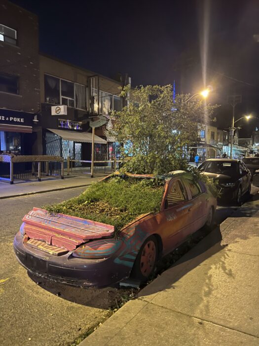 auto reclamado por la naturaleza