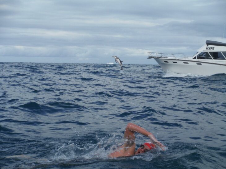 Nado con delfines