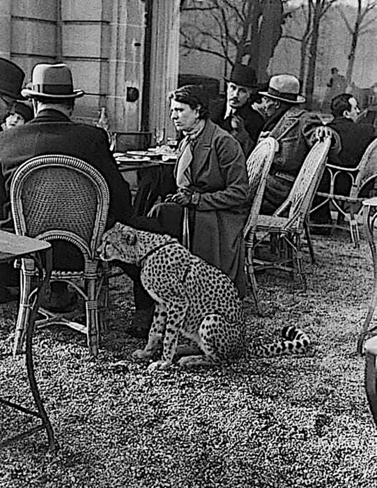 Mujer en café con su guepardo mascota
