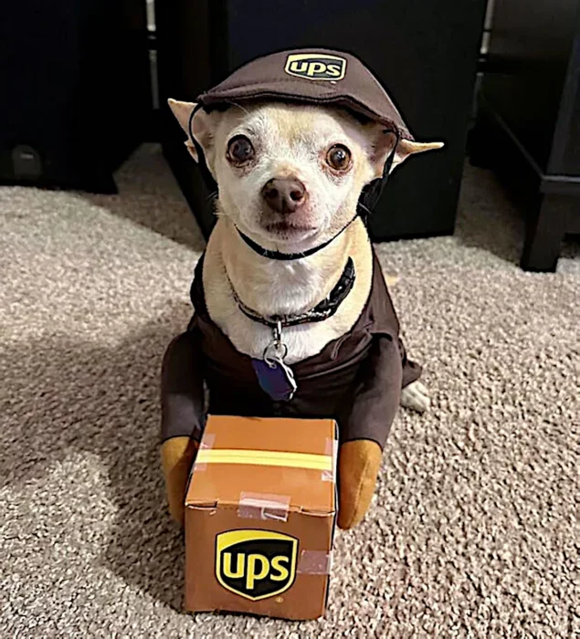 UPS mascota