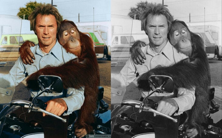 Clint Eastwood y Manis