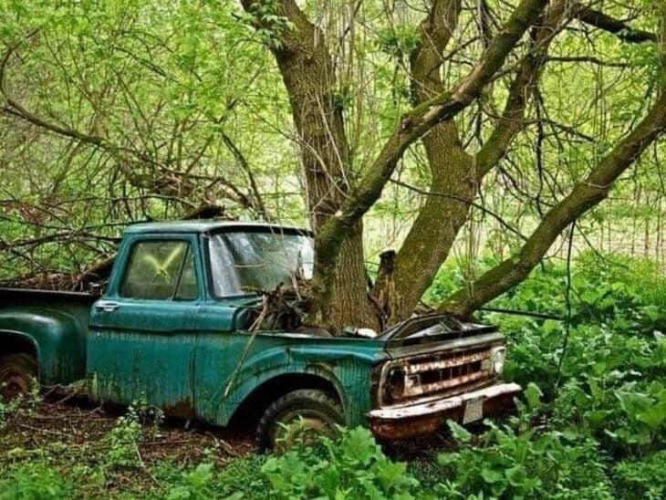 Camioneta verde turquesa reclamada por la naturaleza