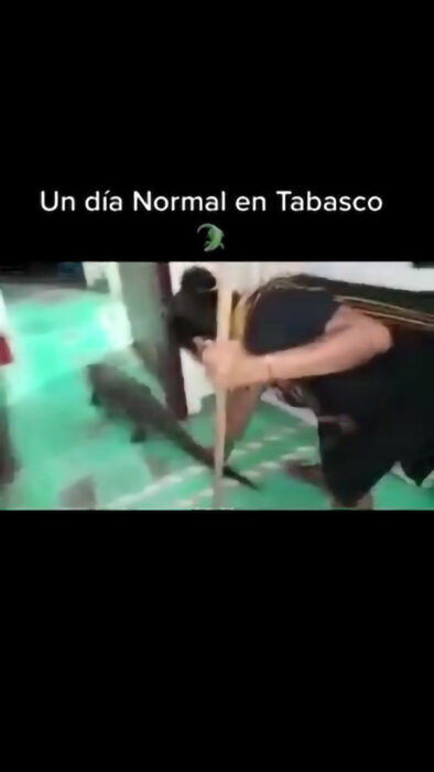 Mamá tabasco