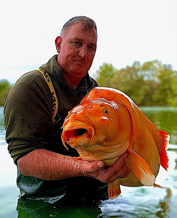 Pez dorado apodado carrot zanahoria y el pescador que lo capturo Hackett Goldfish british angler
