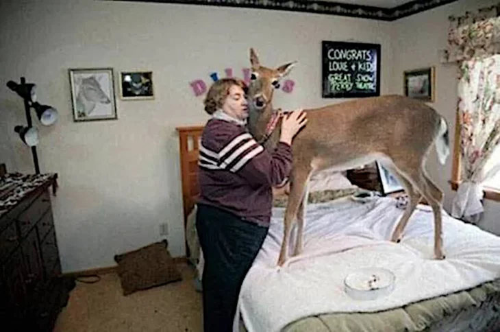 Te amo Bambi